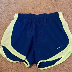 Nike shorts ( Blue and green)